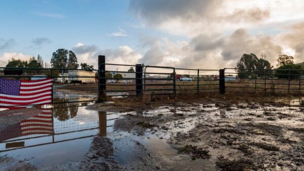 Records rains welcomed in drought-hit California, but is it enough to turn the tide? – National