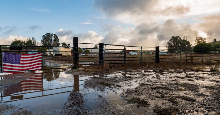 Records rains welcomed in drought-hit California, but is it enough to turn the tide? – National