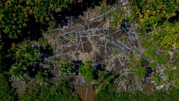 COP26: Canada joins more than 100 countries vowing to end deforestation – National