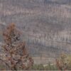 East Troublesome Fire: Its impact on science and responders