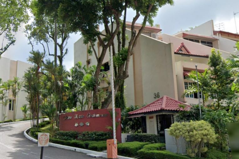 Watten Estate Condominium in Bukit Timah goes for 0.8m in biggest residential en bloc sale this year, Property News & Top Stories