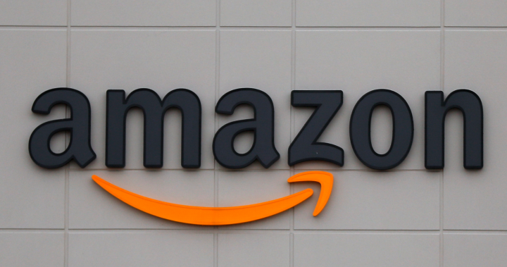 Amazon predicts disappointing holiday quarter amid supply chain slump  – National