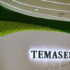 Temasek unit 65 Equity Partners will have .5b in funds under management, including Govt co-investment, Companies & Markets News & Top Stories