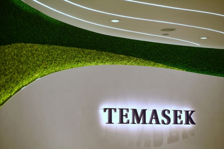 Temasek unit 65 Equity Partners will have .5b in funds under management, including Govt co-investment, Companies & Markets News & Top Stories