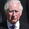 Prince Charles denies declare he made feedback about Archie’s pores and skin tone – Nationwide