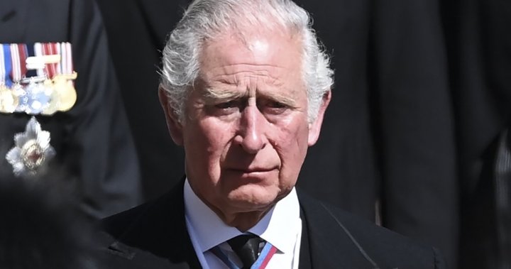 Prince Charles denies declare he made feedback about Archie’s pores and skin tone – Nationwide