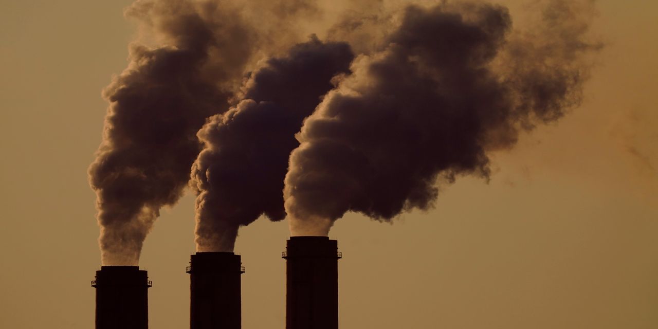 Steep Cuts to Carbon Emissions Gain Stronger Economic Backing