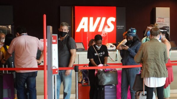 Options Activity Tied to Avis, Meme Stocks Explodes