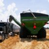 Wheat Prices Jump, Signaling More Food Inflation