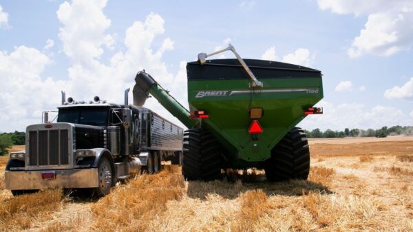 Wheat Prices Jump, Signaling More Food Inflation