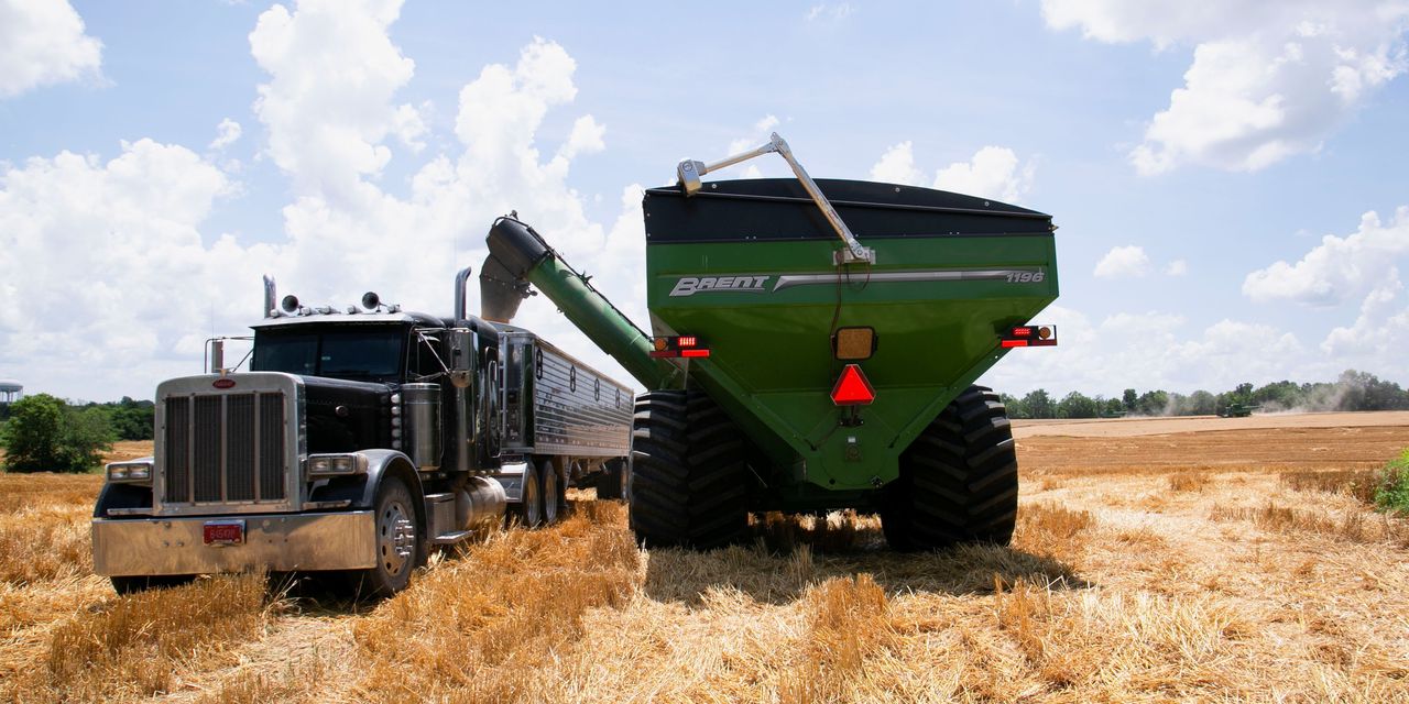 Wheat Prices Jump, Signaling More Food Inflation