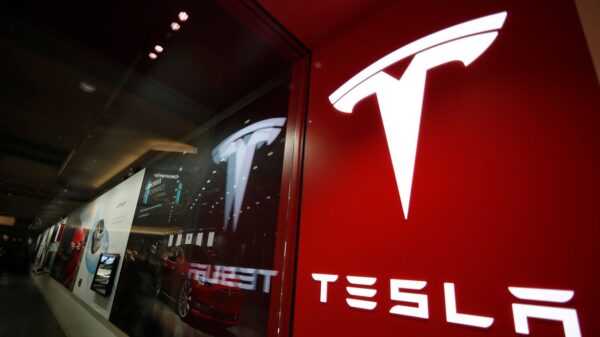 Tesla Stock Punishes Wary Fund Managers