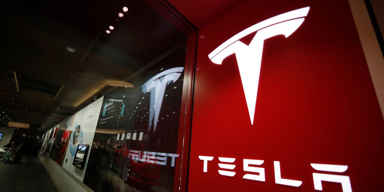 Tesla Stock Punishes Wary Fund Managers