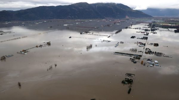 British Columbia Flood Lifts Lumber Prices