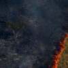 More than 100 countries pledge to end deforestation at COP26