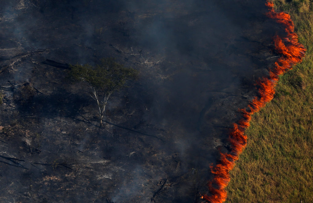 More than 100 countries pledge to end deforestation at COP26