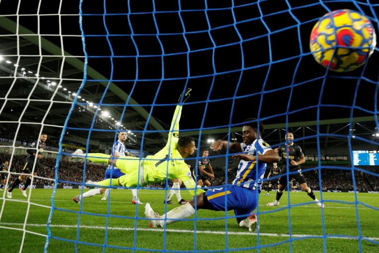 Football: Hayden rescues point for Newcastle in 1-1 draw against Brighton, Football News & Top Stories