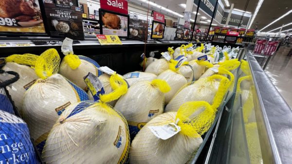 No turkey shortage for Thanksgiving, but higher prices expected