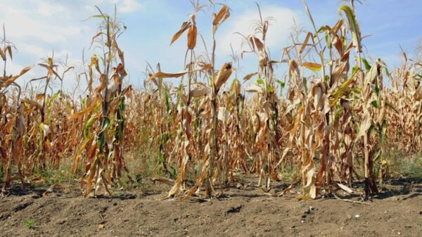 Colorado climatologist trying to refocus drought conversation around agriculture