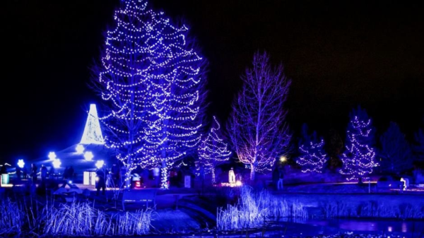 Winter Wonderlights holiday lighting attraction back in Loveland