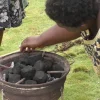 Cameroonian Fishermen Harvest Invasive Aquatic Fern to Create Power Supply