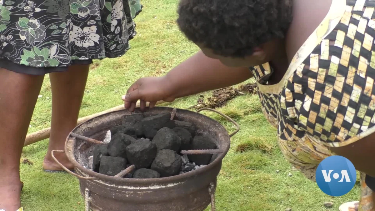 Cameroonian Fishermen Harvest Invasive Aquatic Fern to Create Power Supply