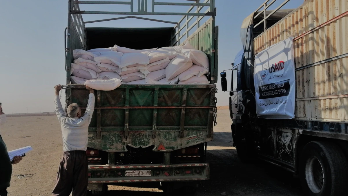 USAID Says Wheat Seeds Despatched to Northeast Syria Meet ‘Excessive Requirements’