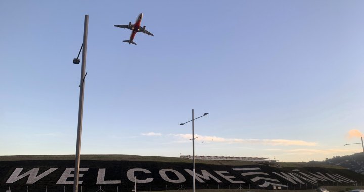 New Zealand to begin reopening borders in January for totally vaccinated travellers – Nationwide