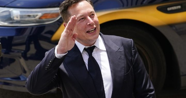 Elon Musk says will sell B in Tesla stock if UN shows how it will solve world hunger – National