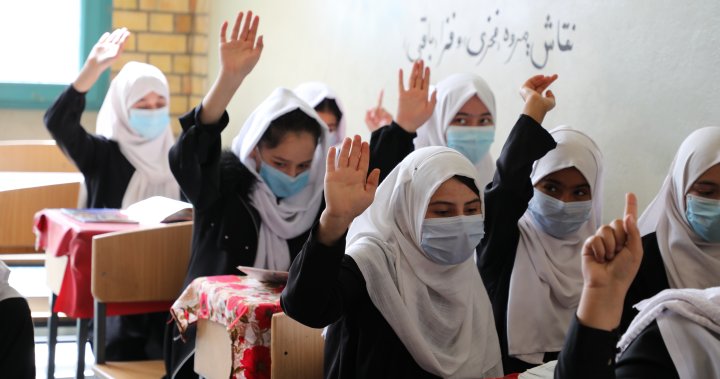 UNICEF working to directly fund Afghan teachers without Taliban interaction – National