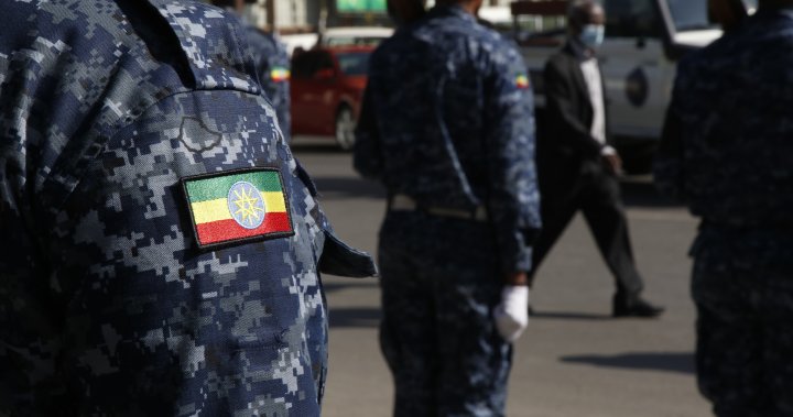 Ethiopia’s PM vows to bury enemy forces ‘with our blood’ amid state of emergency – National