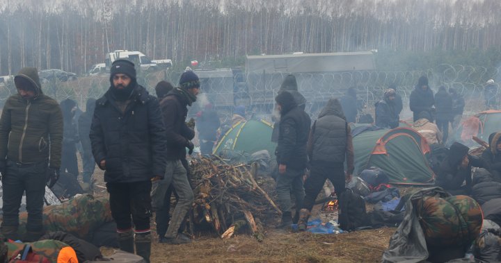 ‘Intolerable’ Poland-Belarus migrant crisis must end: UN human rights chief – National