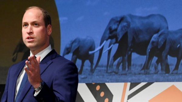 Prince William’s remarks about African inhabitants condemned by critics – Nationwide