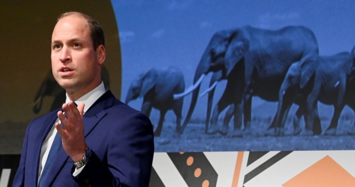 Prince William’s remarks about African inhabitants condemned by critics – Nationwide