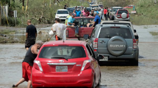 How ‘Local weather Migrants’ Are Roiling American Politics