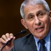 Fauci: ’I’m going to be saving lives and they will be mendacity’