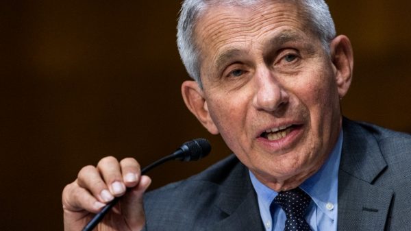 Fauci: ’I’m going to be saving lives and they will be mendacity’