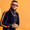 Farruko broadcasts live performance at Colorado’s Nationwide Western Complicated