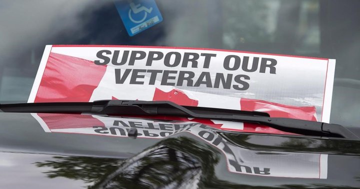 Feds face calls to step up amid ‘over representation’ of homeless veterans – National