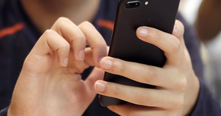 New expertise will assist struggle spam calls, CRTC says – Nationwide