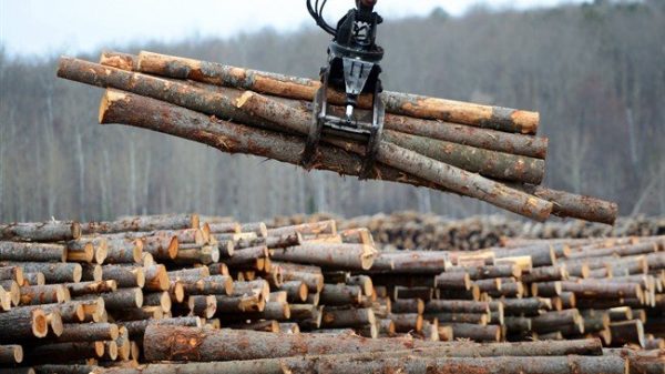 Freeland says Canada could retaliate in opposition to U.S. softwood lumber responsibility price