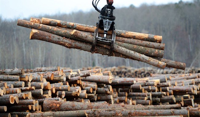 Freeland says Canada could retaliate in opposition to U.S. softwood lumber responsibility price