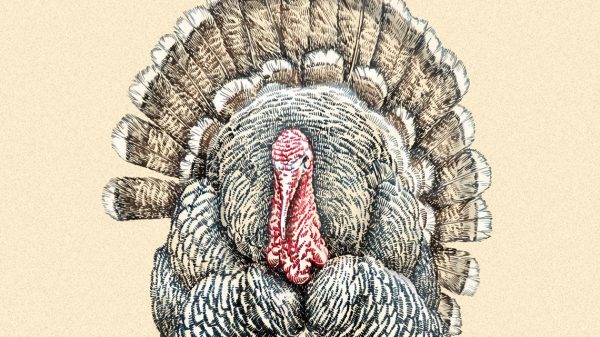 1939: The yr Colorado had two Thanksgivings