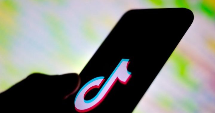 TikTok survey finds ‘hoax challenges’ are scaring teenagers. What’s being achieved? – Nationwide