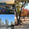 Spirited South Korea: Savour fashionable native meals and nature-infused areas with VTL journey, Journey Information & Prime Tales