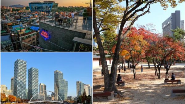 Spirited South Korea: Savour fashionable native meals and nature-infused areas with VTL journey, Journey Information & Prime Tales