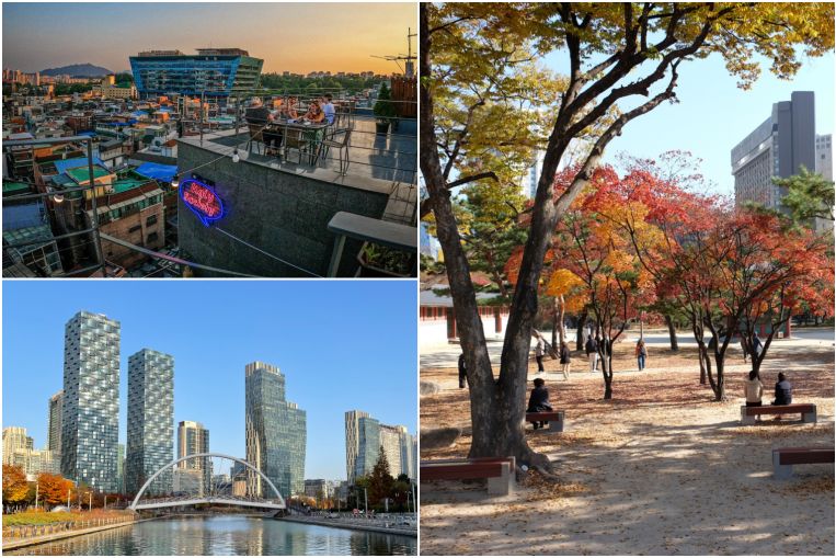 Spirited South Korea: Savour fashionable native meals and nature-infused areas with VTL journey, Journey Information & Prime Tales