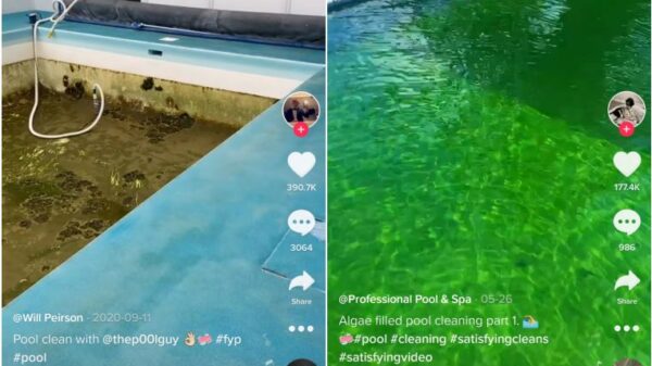 The strange allure of pool-cleaning videos, Life News & Top Stories