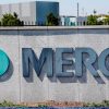 Merck’s COVID-19 capsule reduces hospitalization, demise danger by 30%, firm says – Nationwide