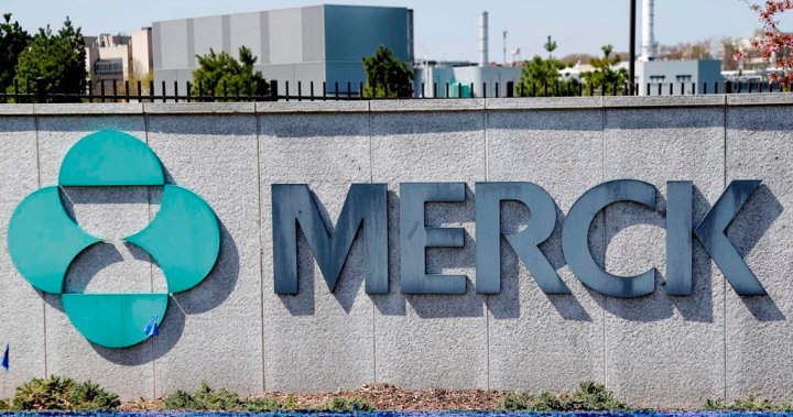 Merck’s COVID-19 capsule reduces hospitalization, demise danger by 30%, firm says – Nationwide